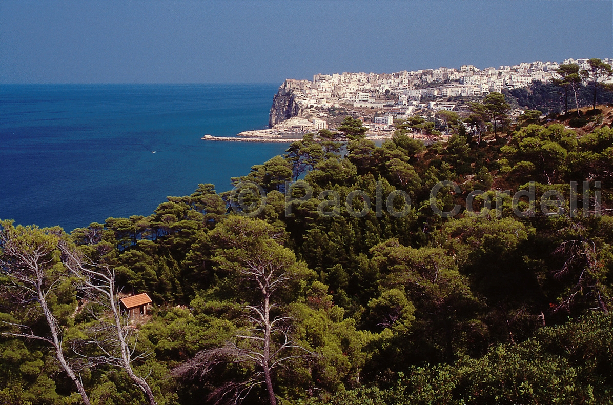 Peschici, Gargano National Park, Puglia, Italy
 (cod:Puglia 03)